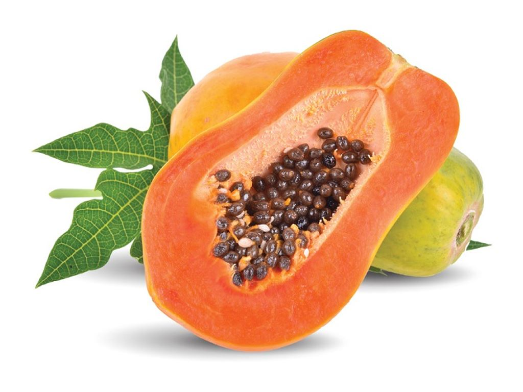 1658500561 1658500561